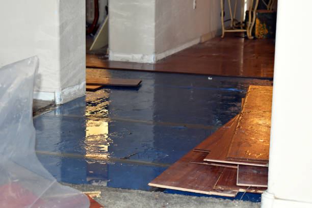 Professional Basement Water Removal technician working in Reeds, MO